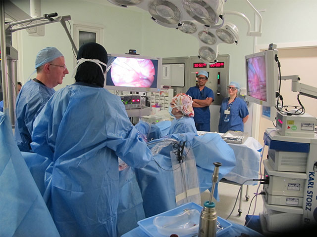 advanced-laparoscopy course 1